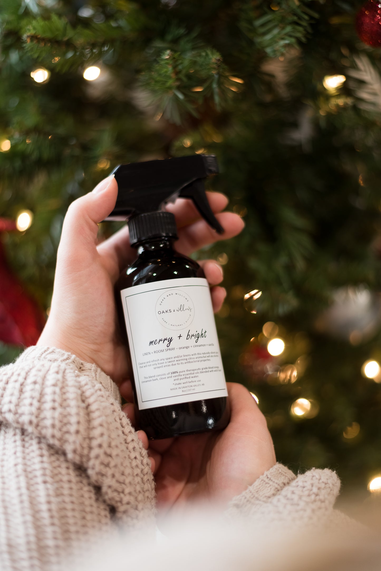 merry + bright